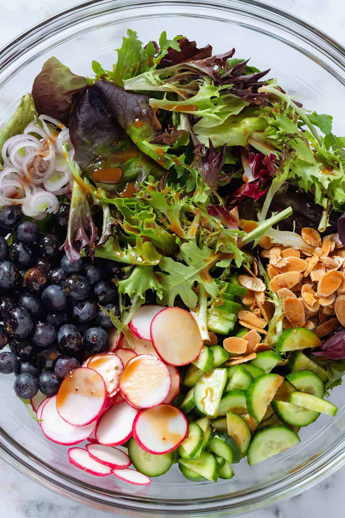 Mixed greens, blueberries, sliced shallots, radishes, and cucumbers, and toasted almonds dressed with balsamic vinagrette in a large mixing bowl before mixing.