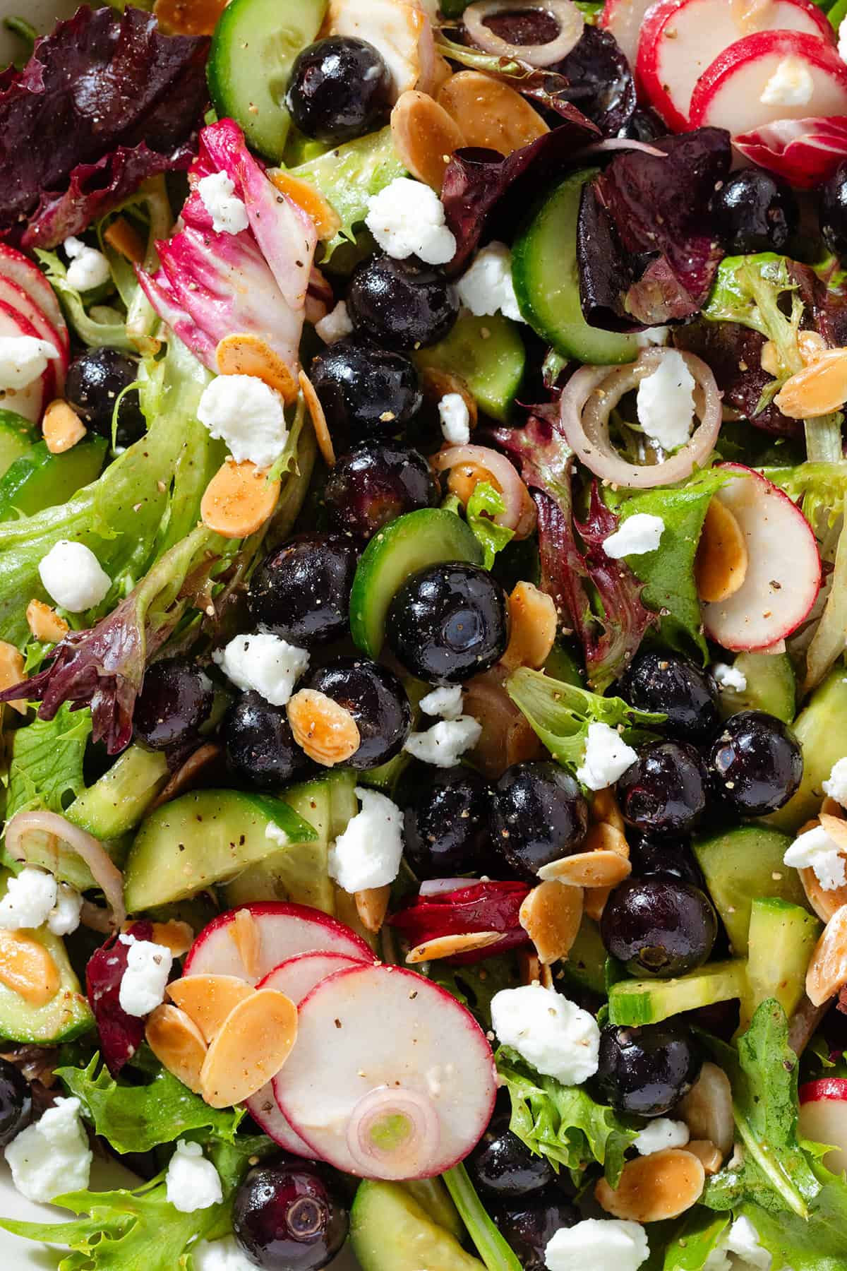 Blueberry salad with mixed greens, radishes, toasted almonds, shallots, and crumbled soft goat cheese.