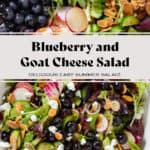 A bowl on blueberry salad with mixed greens, radishes, toasted almonds, and shallots.