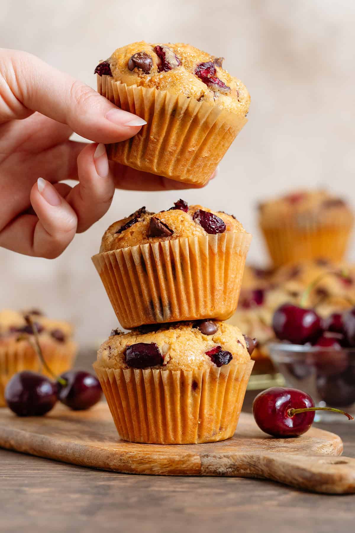 Three cherry and chocolate muffins stacked on a small wooden board with a hand grabbing the one on top, with fresh cherries around them.
