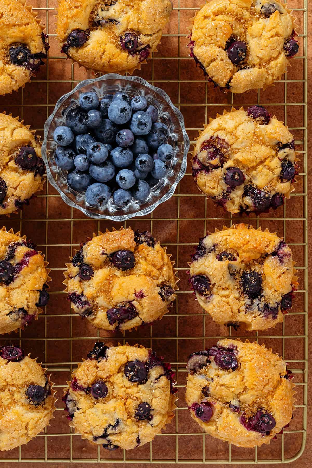 Blueberry muffins on a gold wire rack with a small glass bowl of fresh blueberries in between them.