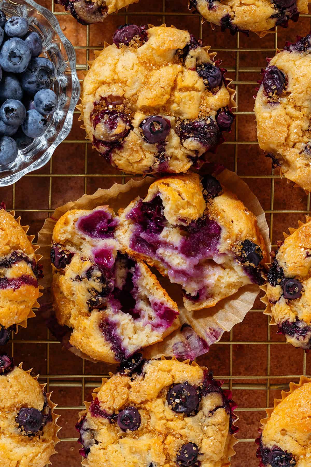 Blueberry muffins on a gold wire rack with a small glass bowl of fresh blueberries on the left side and one muffin in the middle torn in half to show the fluffy inside.