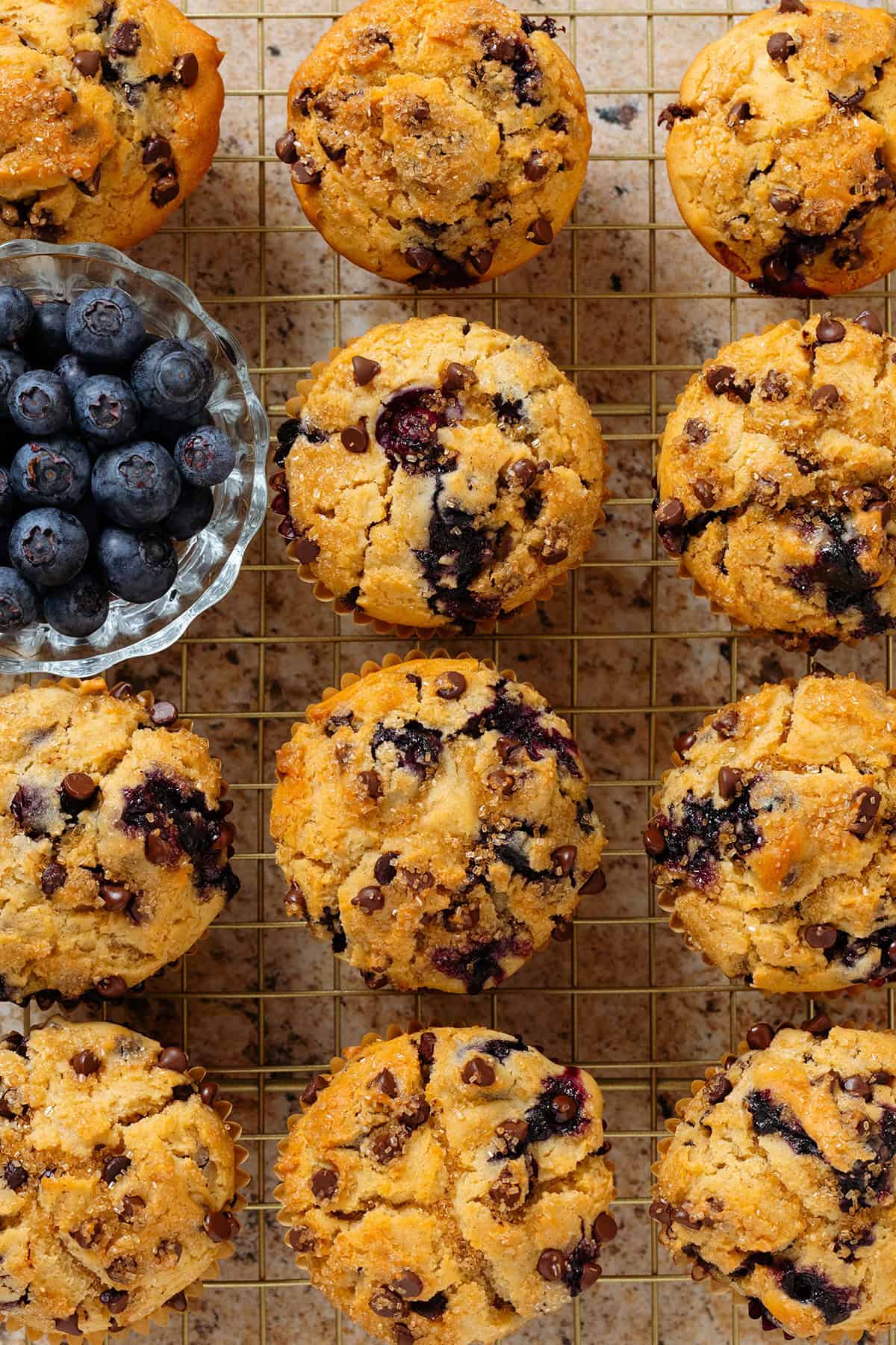 Blueberry chocolate muffins and fresh blueberries on a gold wire rack.