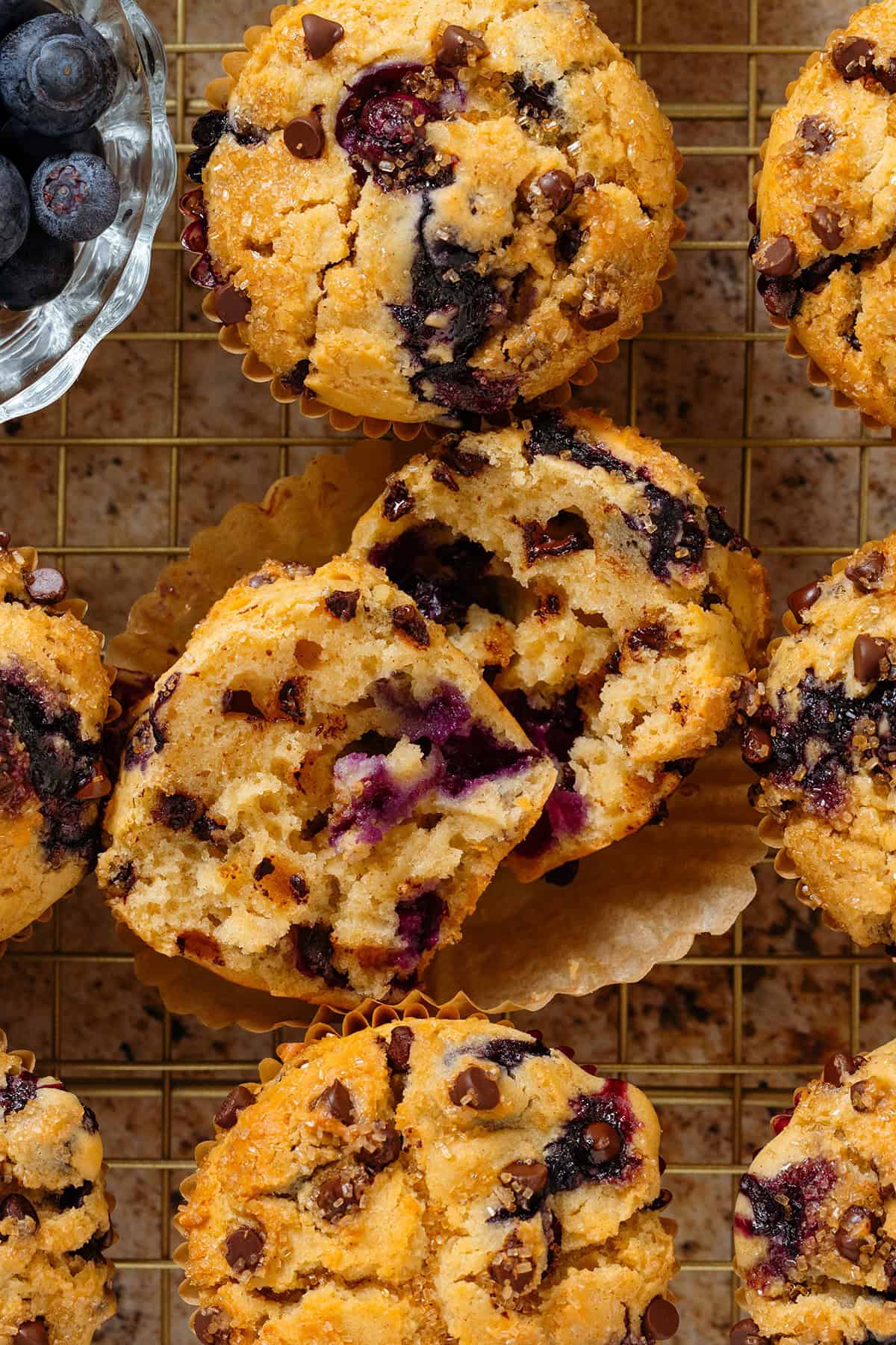 Blueberry chocolate muffins and fresh blueberries on a gold wire rack with the muffin in the middle sliced in half showing the soft inside.