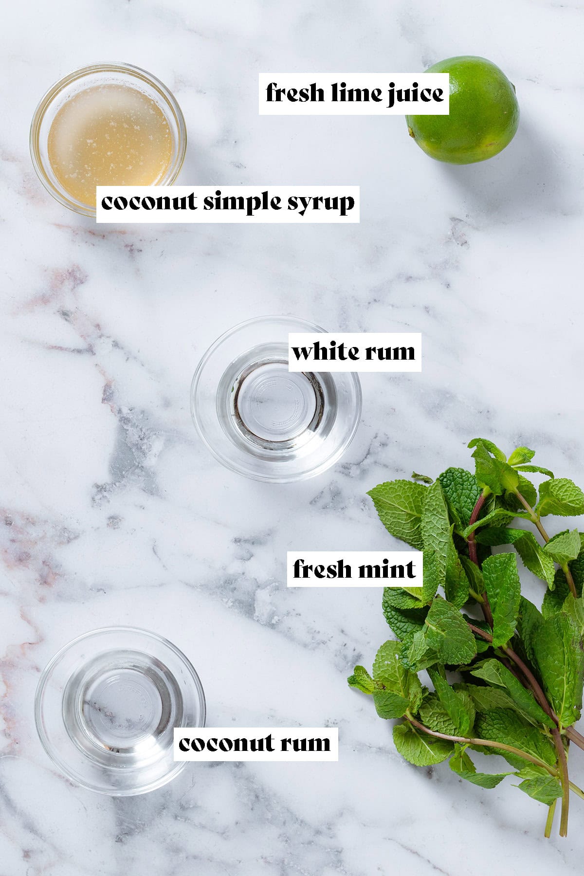Fresh mint, a whole lime, and coconut rum, white rum, and coconut syrup in small glass bowls with text overlay.