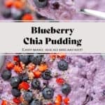 Bright purple blueberry chia pudding in a white bowl garnished with fresh blueberries and diced strawberries and with a spoon scooping up the chia pudding.