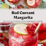 Vibrant red margaritas in a short glasses with ice and gold straws garnished with red currants and lime slices.