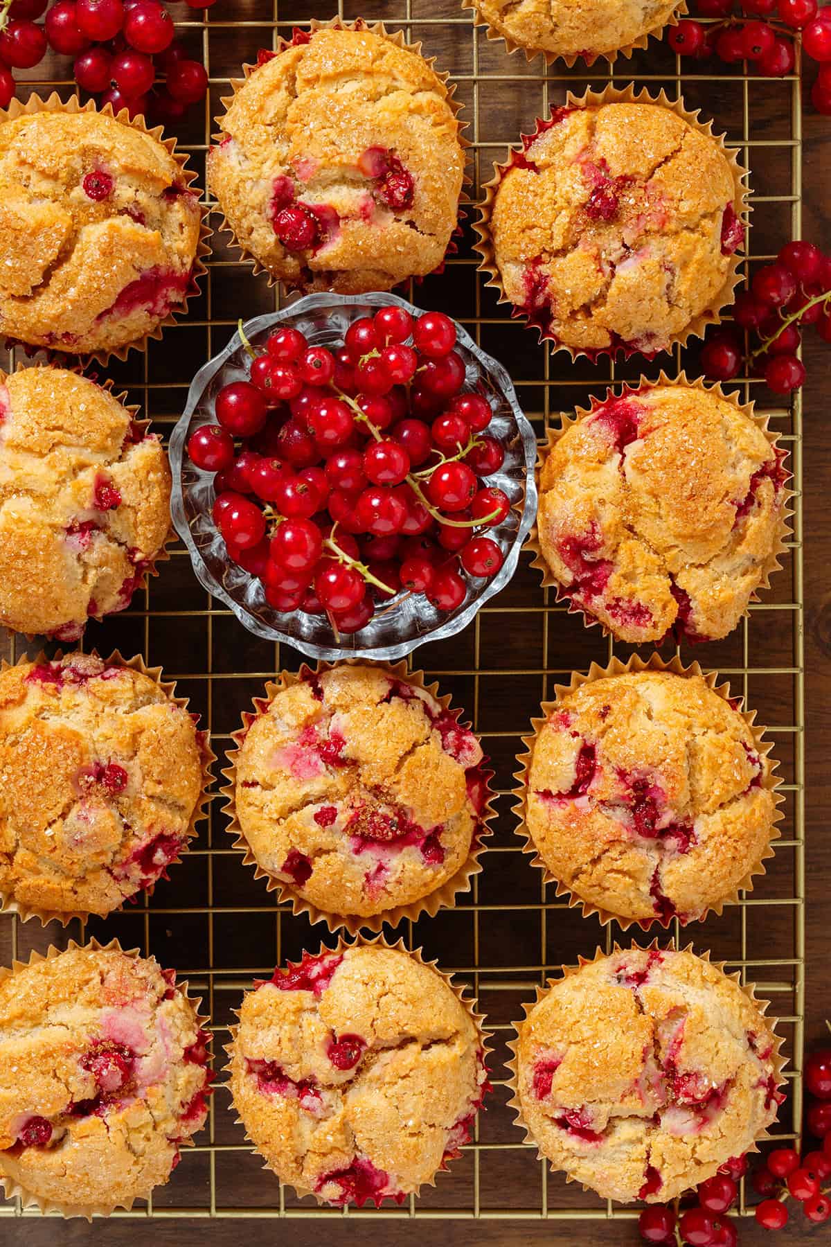 Red currant muffins on a golden wire rack with fresh red currants in a glass bowl in the top middle and more around the muffins.