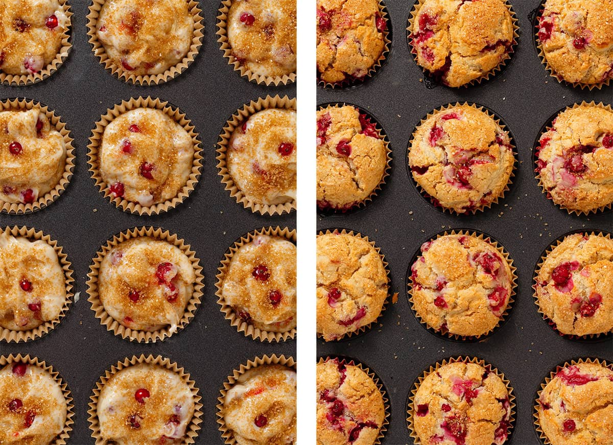 Red currant muffins in a baking pan with paper liners before and after baking.
