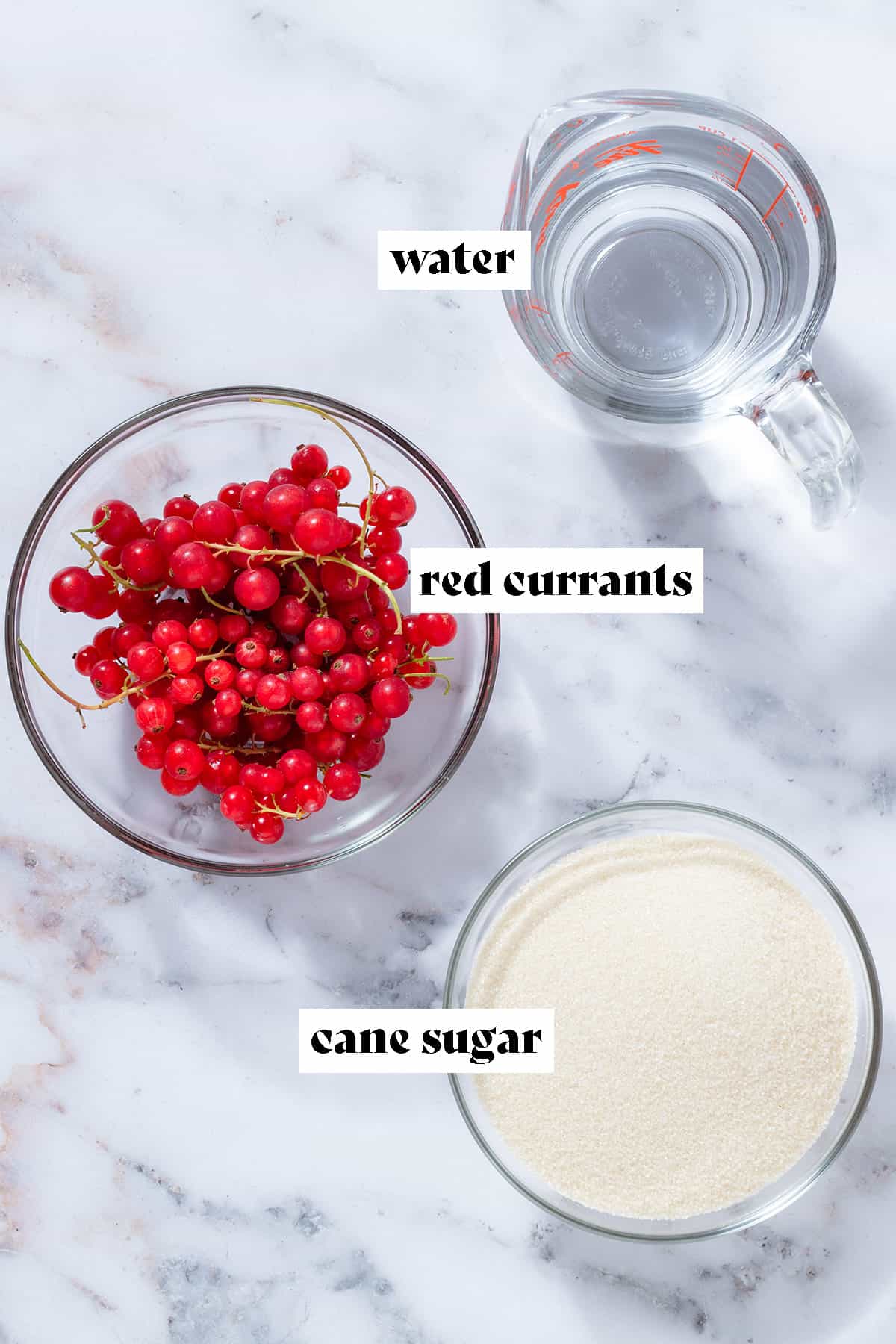 Red currants and cane sugar in glass bowls, and water in a glass measuring cup with text overlay.
