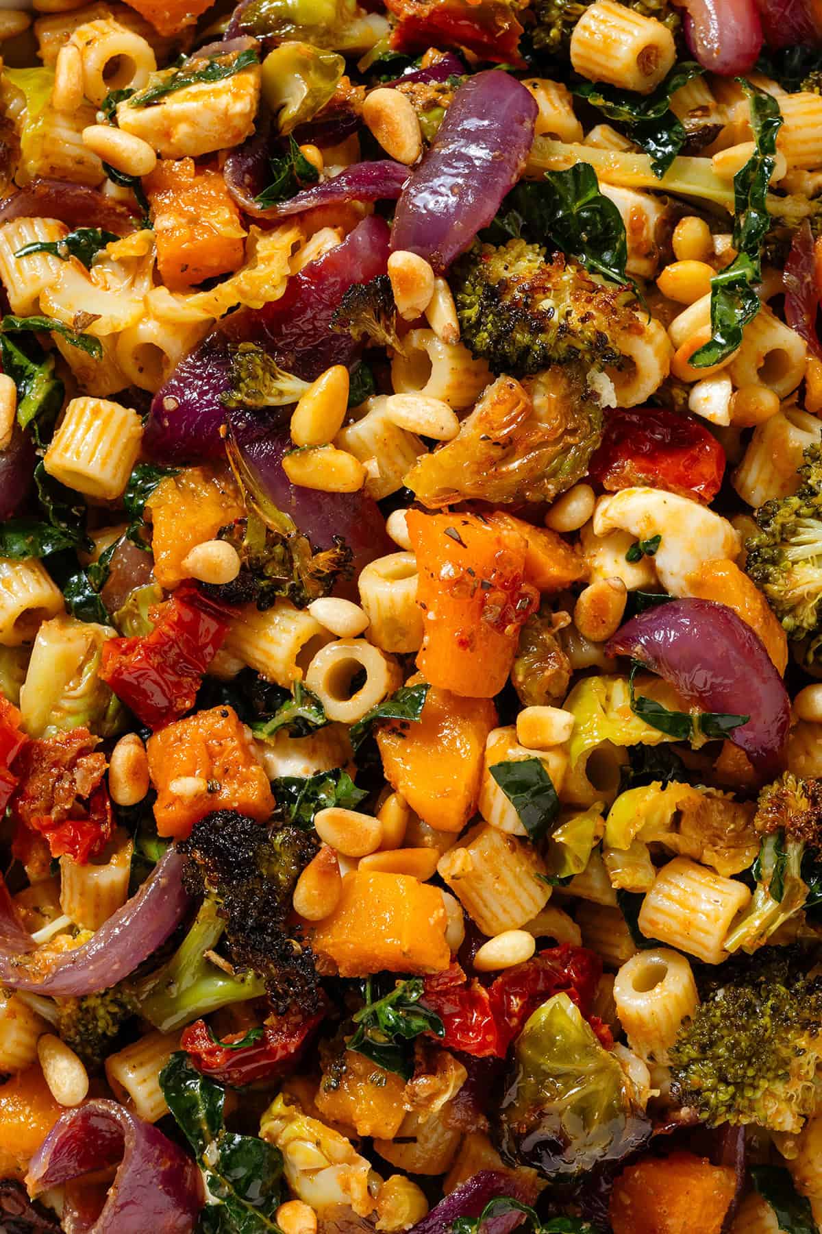 A close up of fall pasta salad with mixed fall and winter vegetables and sundried tomato dressing.