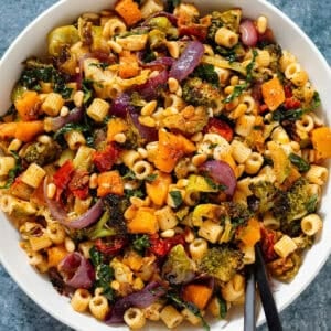 Fall pasta salad with mixed fall and winter vegetables, fresh mozzarella, pine nuts, and sundried tomato dressing in a large shallow bowl.
