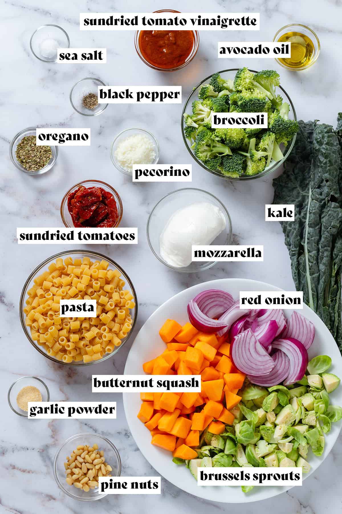 Ingredients like pasta, broccoli, butternut squash, red onion, brussels sprouts, kale, and more all measured and laid out with text overlay.