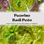 Homemade pesto in a glass jar garnished with fresh basil on a red stone background.