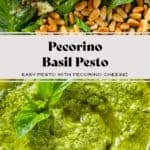 Food processor with pesto ingredients on top and finished pesto garnished with fresh basil on the bottom.