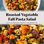 Fall pasta salad with mixed fall and winter vegetables, fresh mozzarella, pine nuts, and sundried tomato dressing in a large shallow bowl.