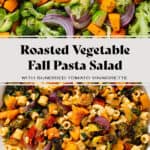 Fall pasta salad with mixed fall and winter vegetables, fresh mozzarella, pine nuts, and sundried tomato dressing in a large shallow bowl on the bottom and the veggies before roasting on top.